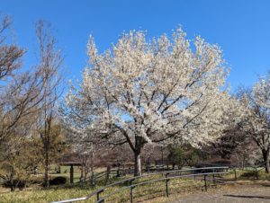 【4月のイベント】スケジュールのご案内